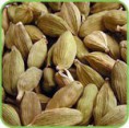 /album/photo-gallery1/cardamom-jpg/